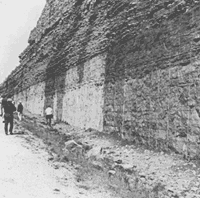 Photograph of outcrop of Ordovician 
Lexington Limestone rich in fossil shells near Lexington, Kentucky